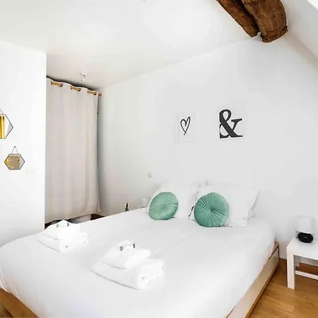 Appartement Promo! Spacious Apt In The Famous Latin Quarter! Parijs
